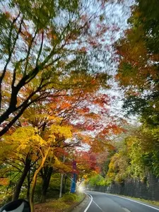 道の駅 みなかみ水紀行館