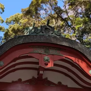 来宮神社の大楠