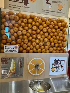 日本平ロープウェイ売店 門前の恵み たいらぎ