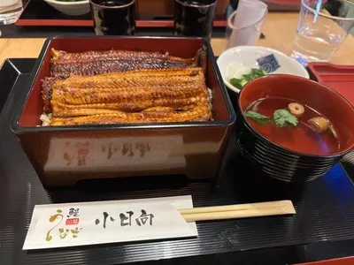 鰻 小日向