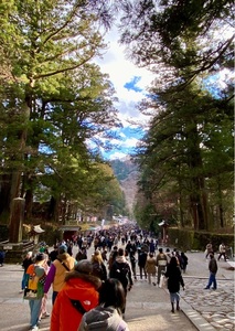 世界遺産日光の社寺 6枚目