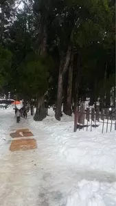雄山神社（芦峅中宮）