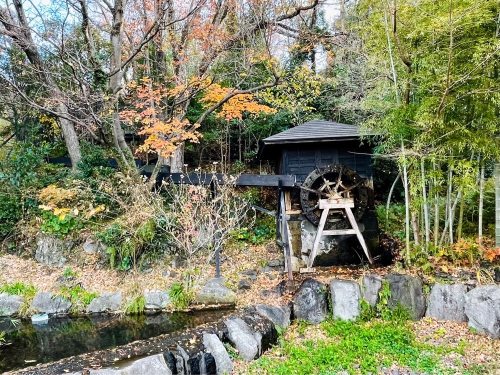 active34さんが投稿した八幡野温泉郷 杜の湯 きらの里（ヤワタノオンセンキョウモリノユキラノサト）に関する口コミの画像