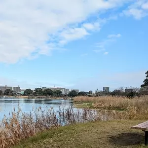 タイム