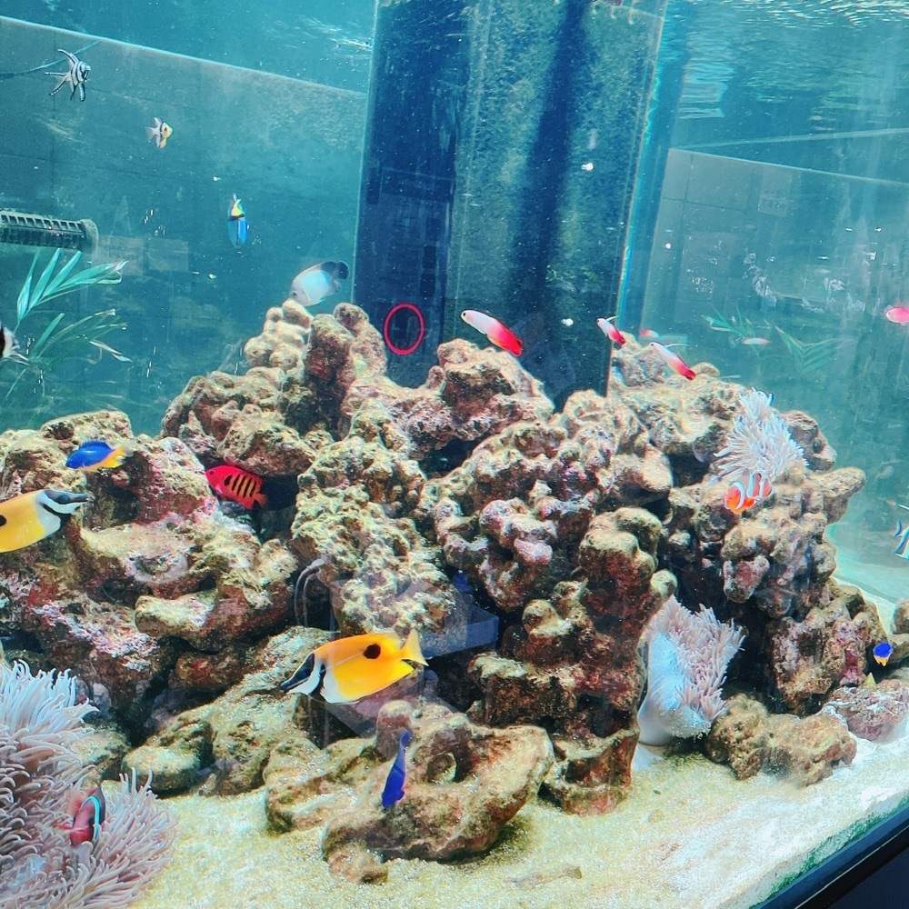 Danjouさんが投稿したAQUA GARDEN KYOTO（アクア ガーデン）に関する口コミの画像