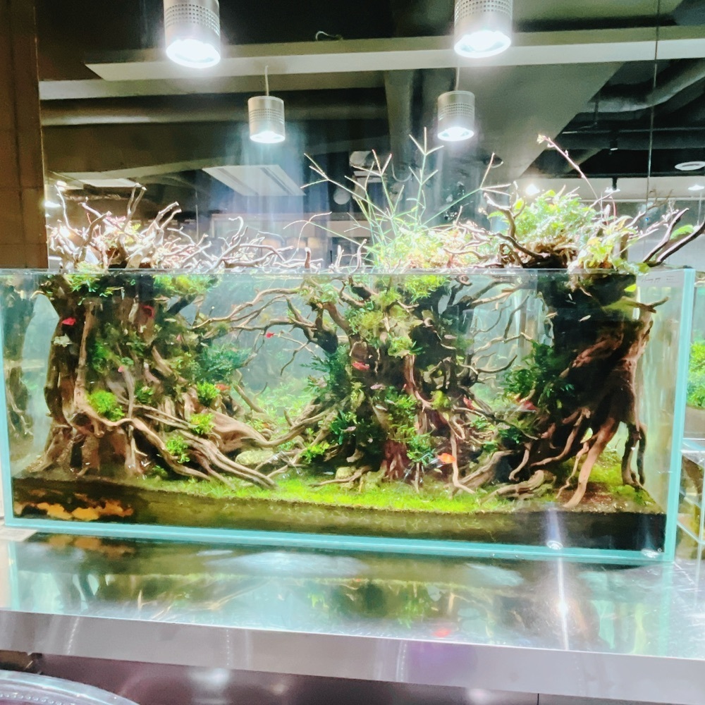 Danjouさんが投稿したAQUA GARDEN KYOTO（アクア ガーデン）に関する口コミの画像