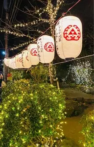 とびっちょ 弁財天仲見世通り店（しらす問屋）