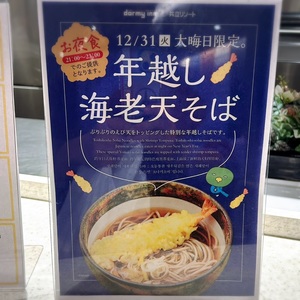 天然温泉　つつじの湯　ドーミーインＥＸＰＲＥＳＳ豊橋 2枚目