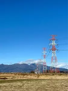 夢の島