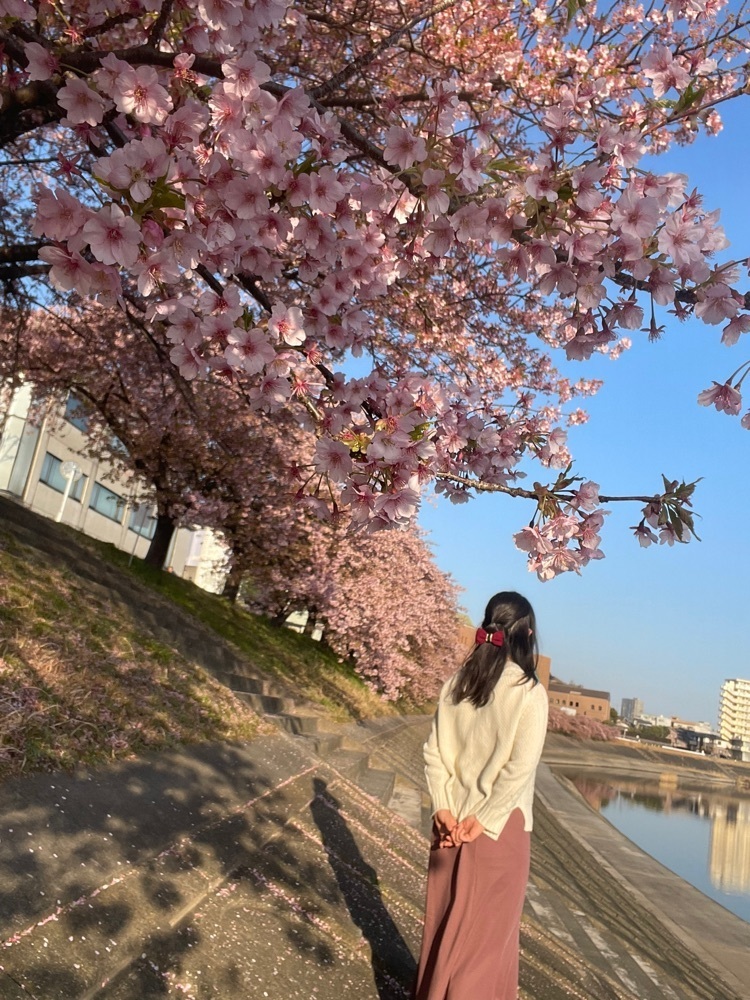 みかんさんが投稿した乙川河川敷庭球場に関する口コミの画像