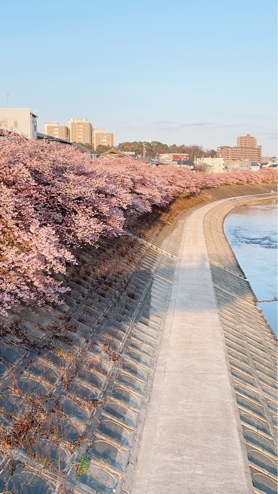 みかんさんが投稿した乙川河川敷庭球場に関する口コミの画像