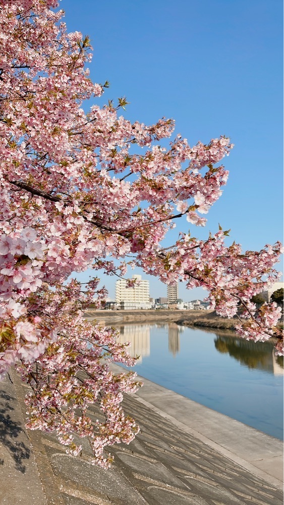 みかんさんが投稿した乙川河川敷庭球場に関する口コミの画像