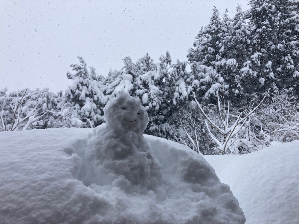 Howl Monさんが投稿した白馬ハイランドホテルに関する口コミの画像