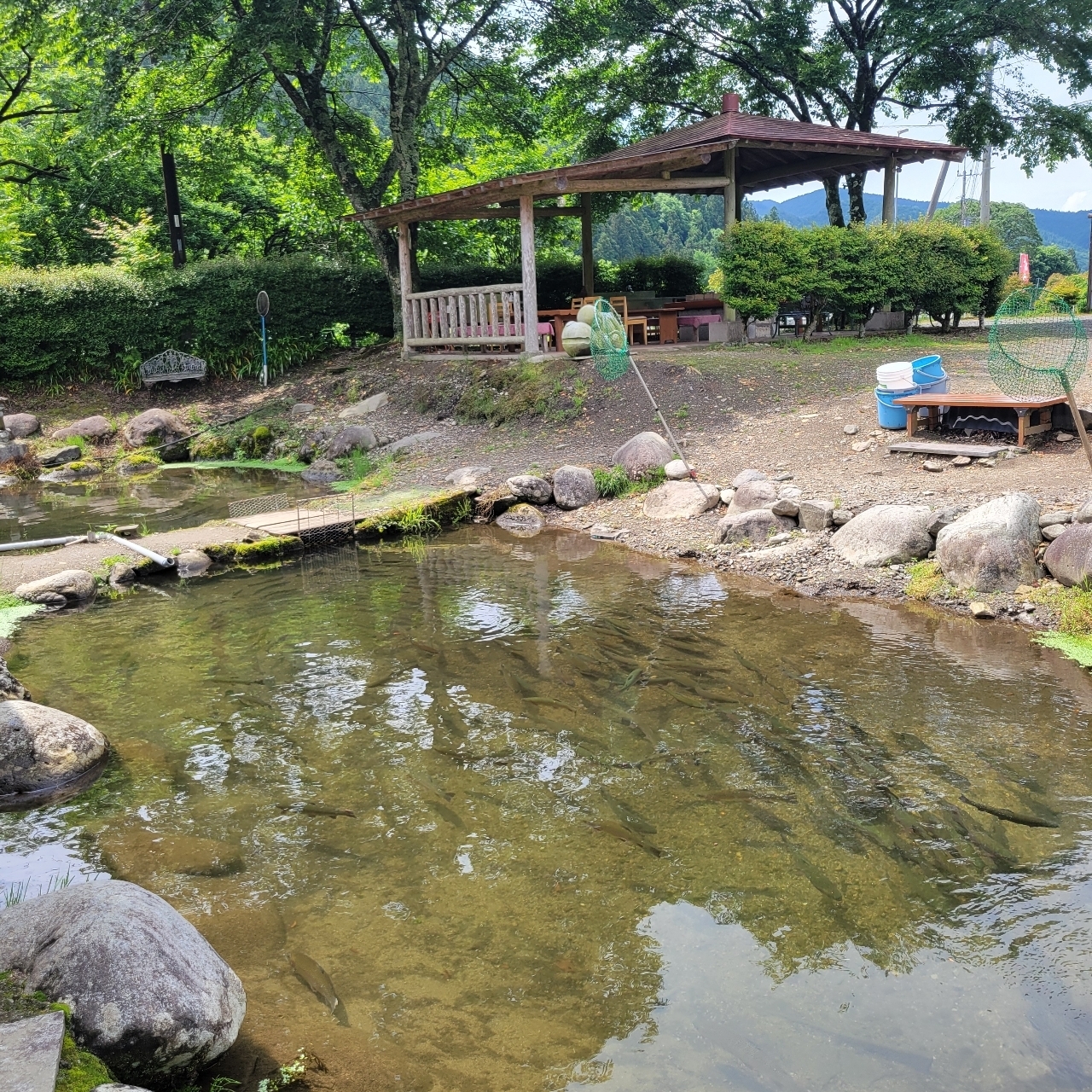 miさんが投稿した古戸中養魚場（コトチュウ）に関する口コミの画像