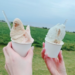 ミルミル本舗 本店 3枚目