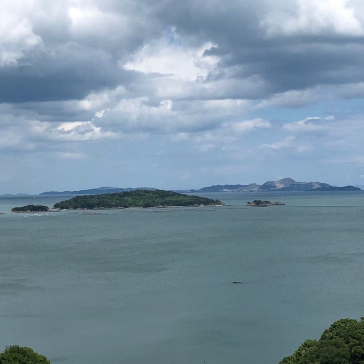 タッキーさんが投稿したたぬき山展望台に関する口コミの画像