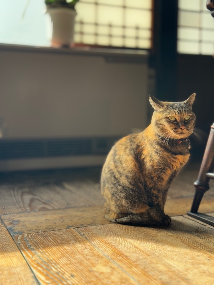 fivesenses_mさんが投稿した河井寛次郎記念館に関する口コミの画像