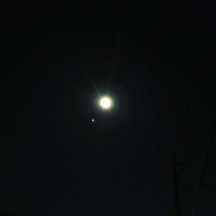 kayukopi さんが投稿した画像の画像