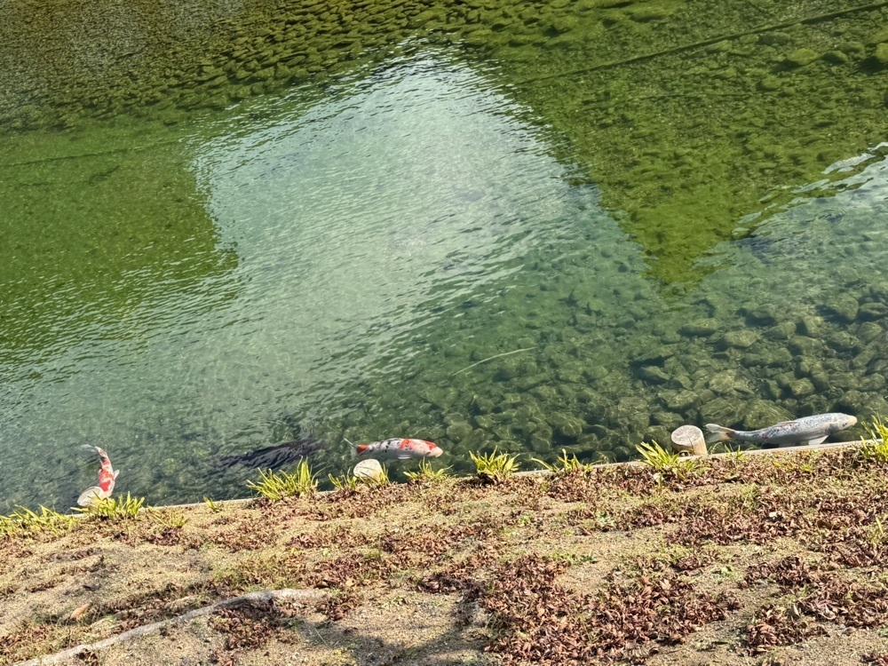 miku_ru 210さんが投稿した平等院ミュージアム鳳翔館 ミュージアムショップに関する口コミの画像