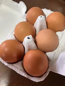 たまご村 敷島店
