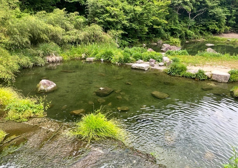 HEATさんが投稿した七瀬川渓流釣り場に関する口コミの画像