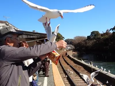浜名湖佐久米駅　～ゆりかもめ舞う駅～