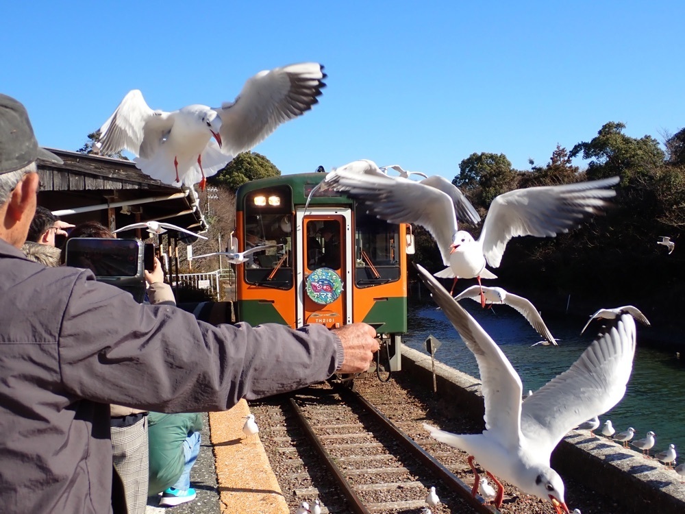 Howl Monさんが投稿した浜名湖佐久米駅　～ゆりかもめ舞う駅～に関する口コミの画像
