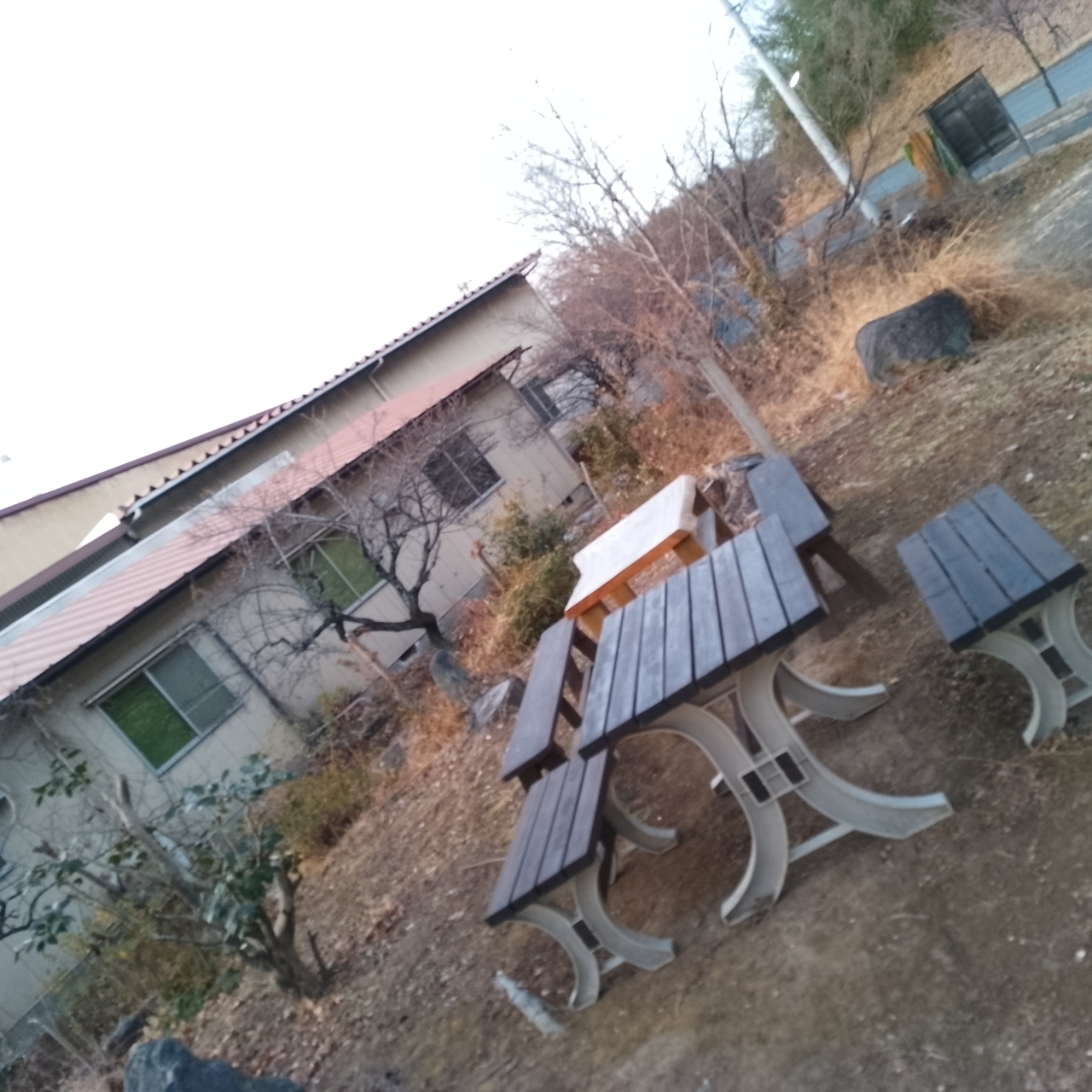 のんびりんこさんが投稿したおとぎの森cafeに関する口コミの画像