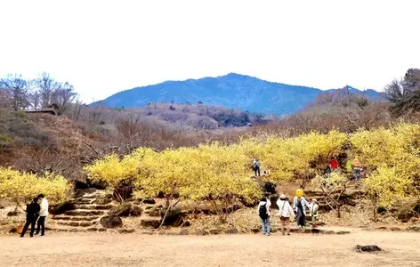 筑波山おもてなし館