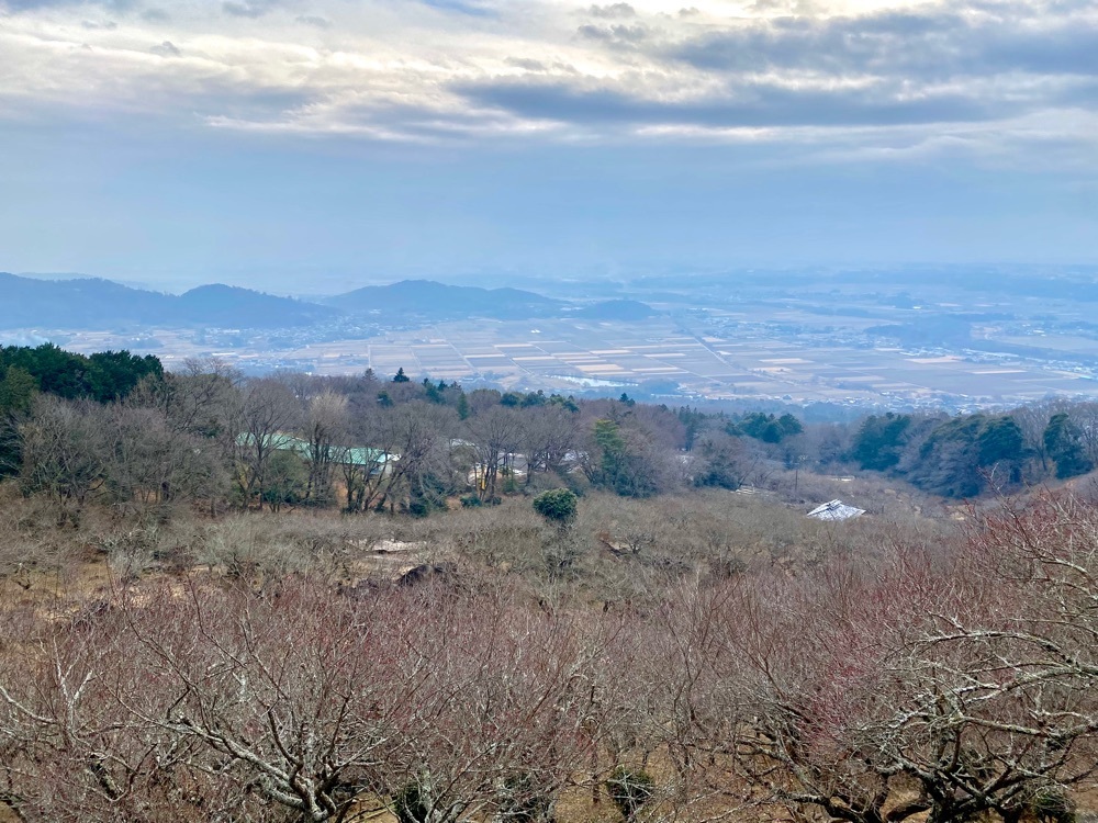 calm_gift_1030さんが投稿した筑波山おもてなし館に関する口コミの画像