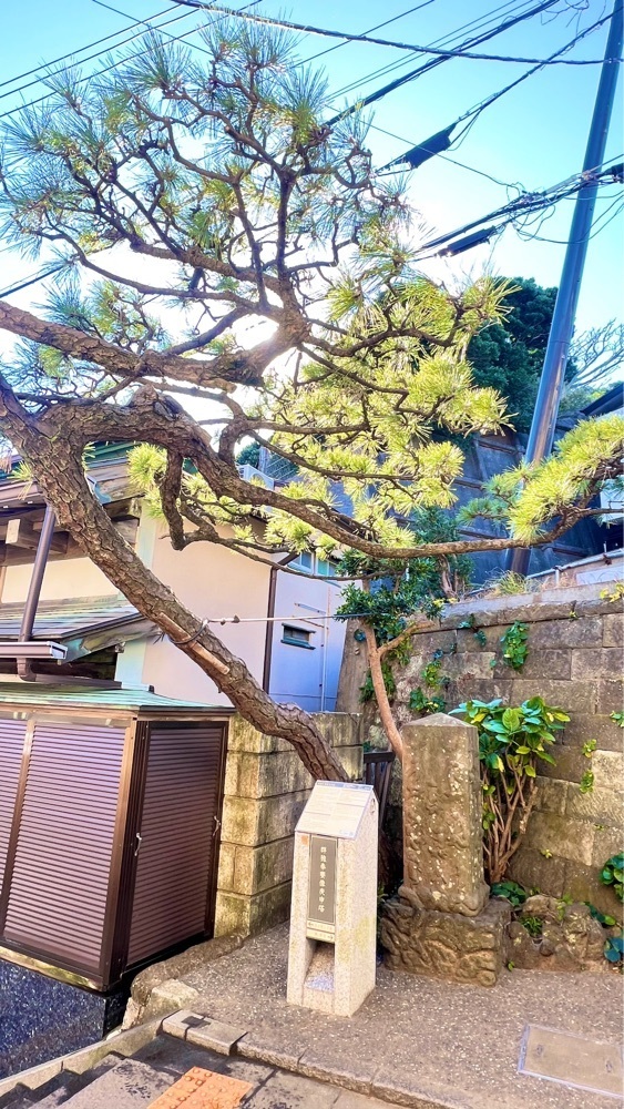miiさんが投稿した江島神社 奥津宮に関する口コミの画像