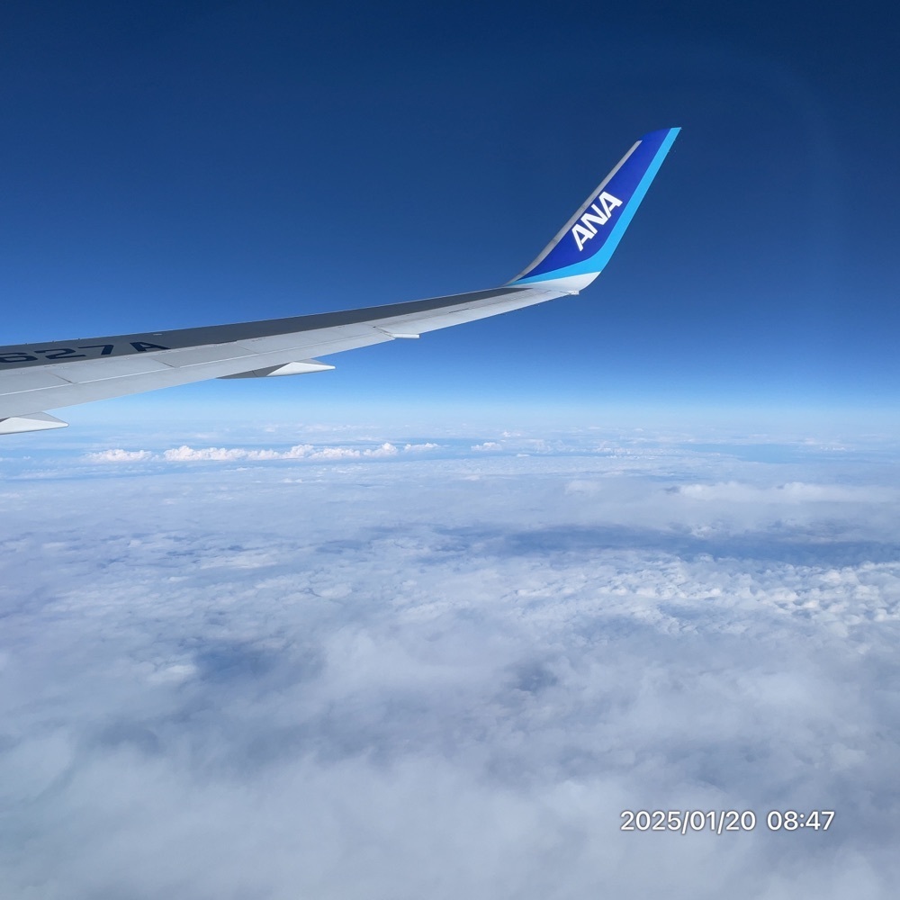 by marco2さんが投稿した大分空港に関する口コミの画像