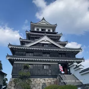 中津城(奥平家歴史資料館)