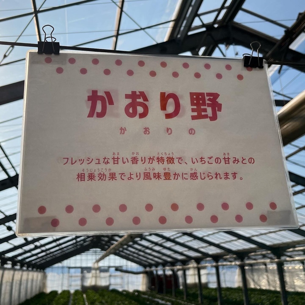 kaze_gourmetさんが投稿した島田いちご園に関する口コミの画像