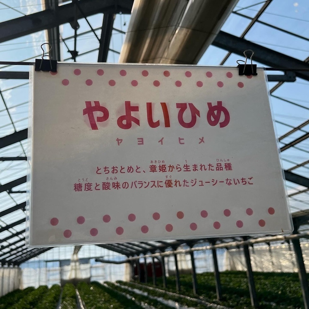 kaze_gourmetさんが投稿した島田いちご園に関する口コミの画像