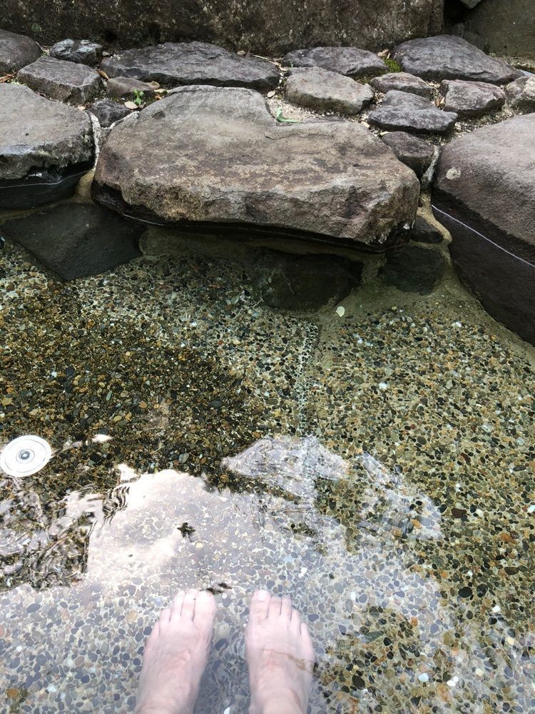 白たぬきさんが投稿した山賊砦（さんぞくとりで）に関する口コミの画像