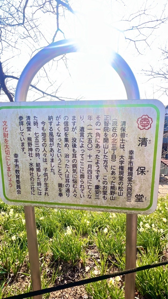 miiさんが投稿した権現堂堤の水仙に関する口コミの画像