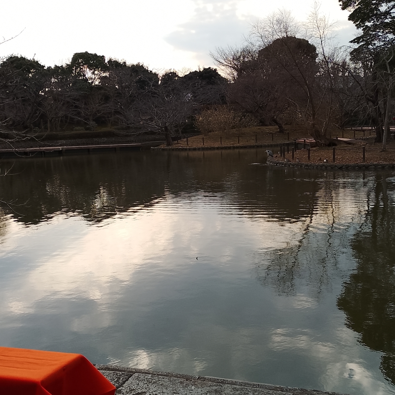 のんびりんこさんが投稿した神苑ぼたん庭園に関する口コミの画像