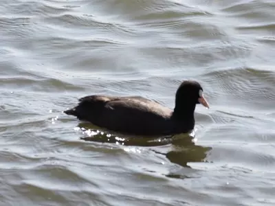 佐鳴湖公園