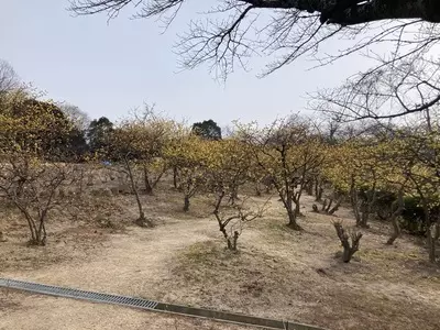 いしはるうどん