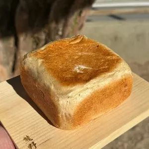 ワルダー（Wälder）