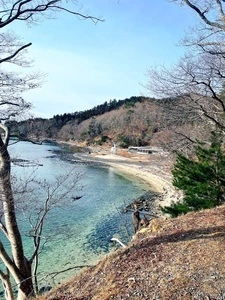 牡鹿半島ビジターセンター