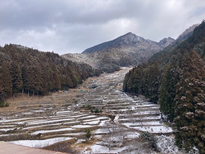 四谷千枚田 2枚目