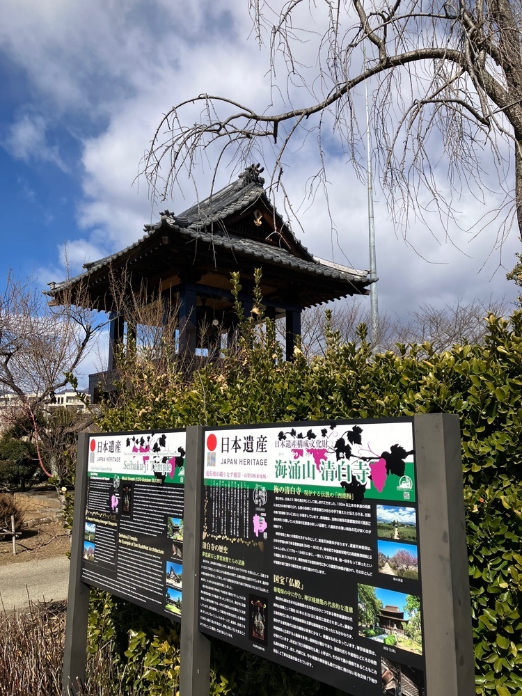 Nさんが投稿した清白寺に関する口コミの画像
