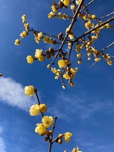 種松山公園西園地
