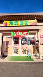 和銅農園