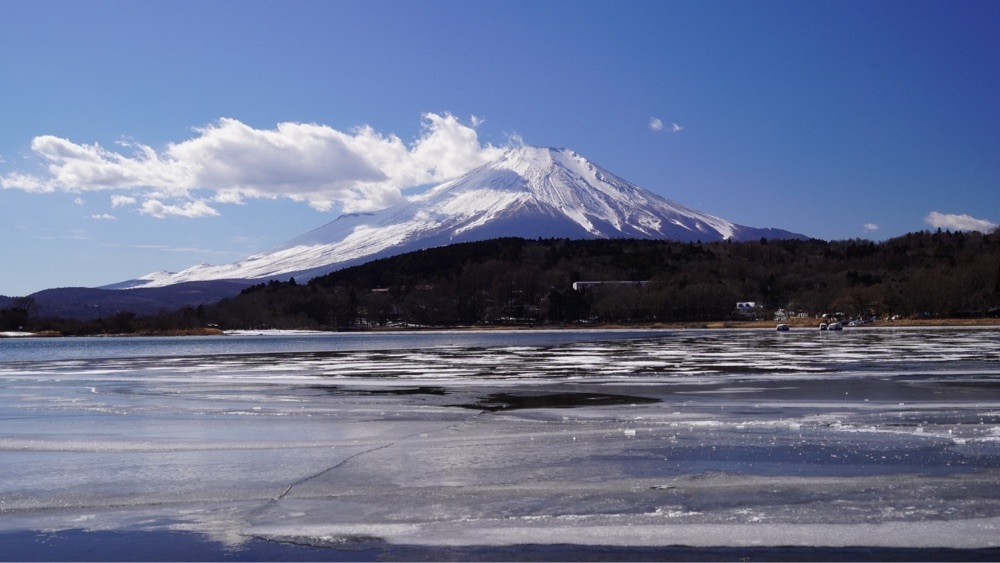 ビンカさんが投稿したFISHING HOUSE なぎさに関する口コミの画像
