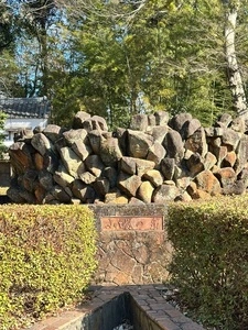 多々良沼公園