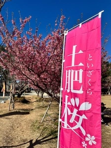 松原公園（静岡県伊豆市）