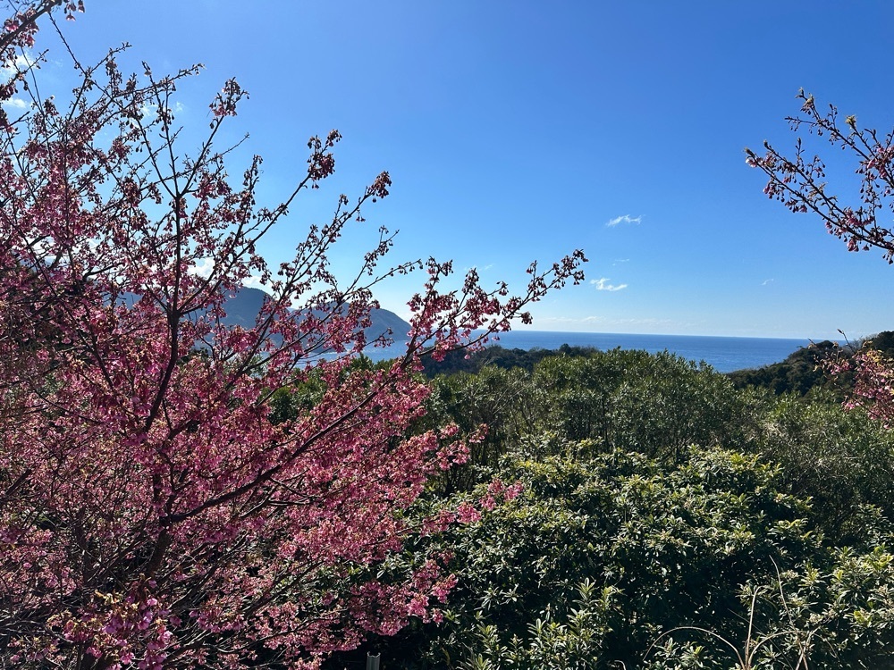 yoko☆さんが投稿した松原公園（静岡県伊豆市）に関する口コミの画像